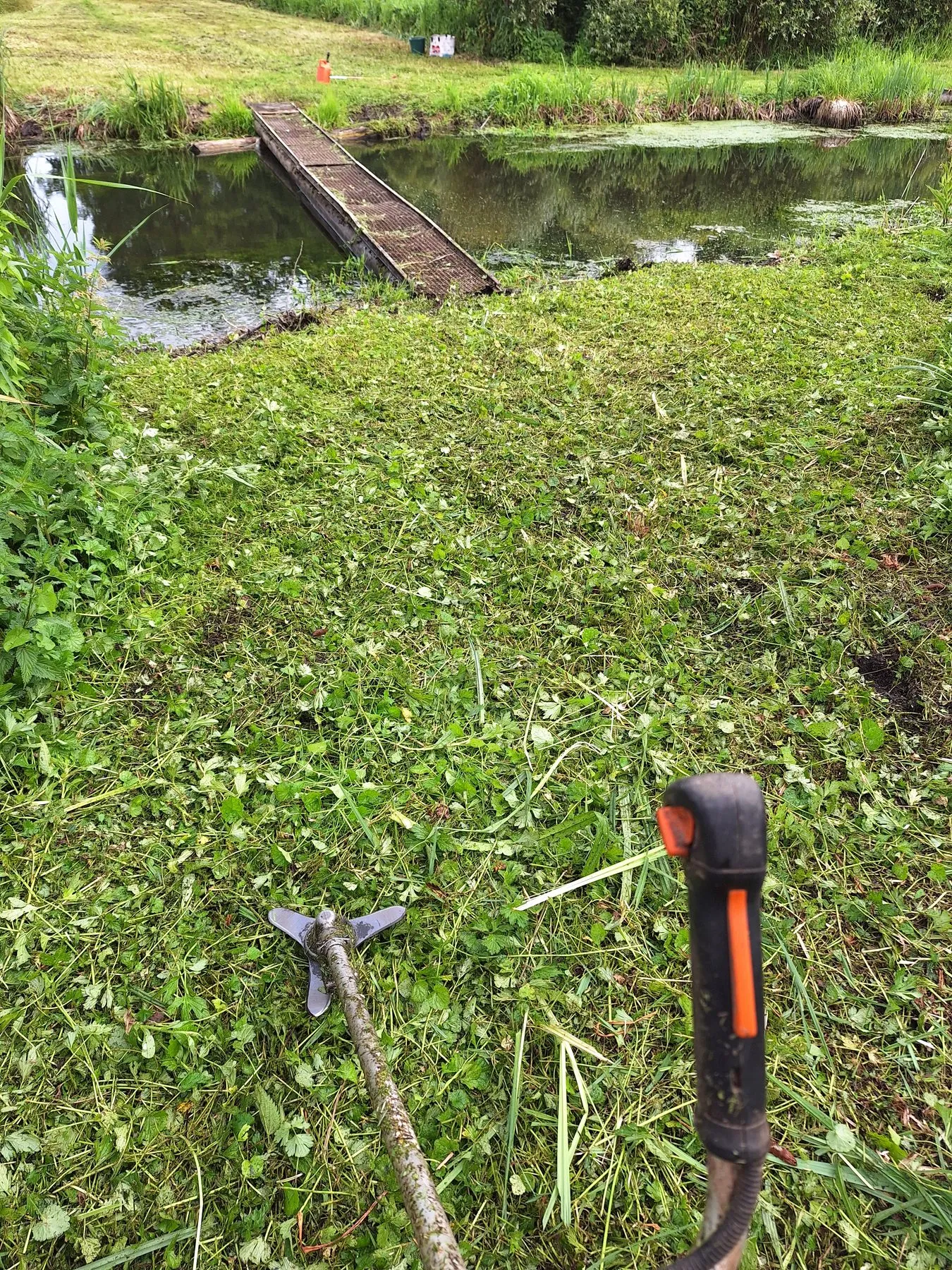 Berge débroussaillée à la débroussailleuse le long d'un cours d'eau